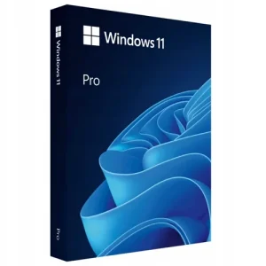 Windows 11 Pro