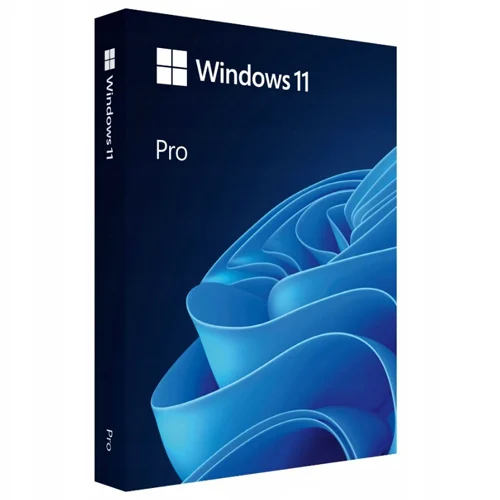 Windows 11 Pro